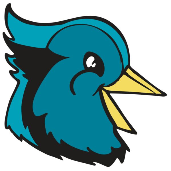 BAW BLUEJAY 11 RC Thumbnail