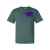 Comfort Colors Adult Heavyweight Tee Thumbnail