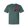Comfort Colors Adult Heavyweight Tee Thumbnail
