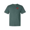 Comfort Colors Adult Heavyweight Tee Thumbnail
