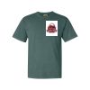 Comfort Colors Adult Heavyweight Tee Thumbnail